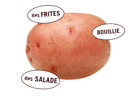 Patate Rouge
