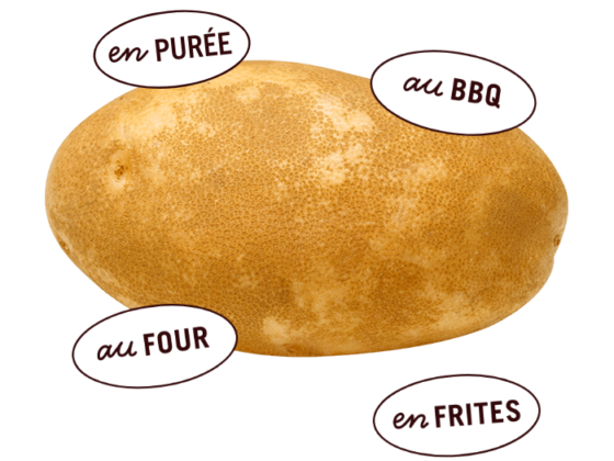 Patate Russet