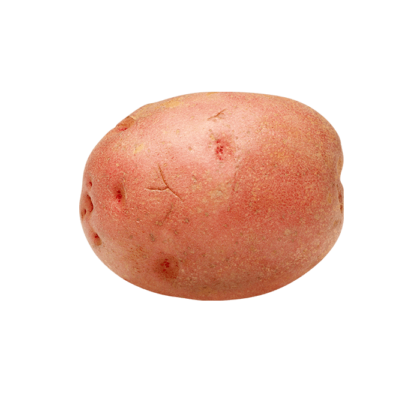 Patate Rouge